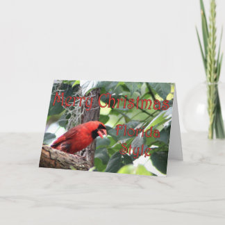 Tarjeta Festiva Feliz Navidad, estilo Florida