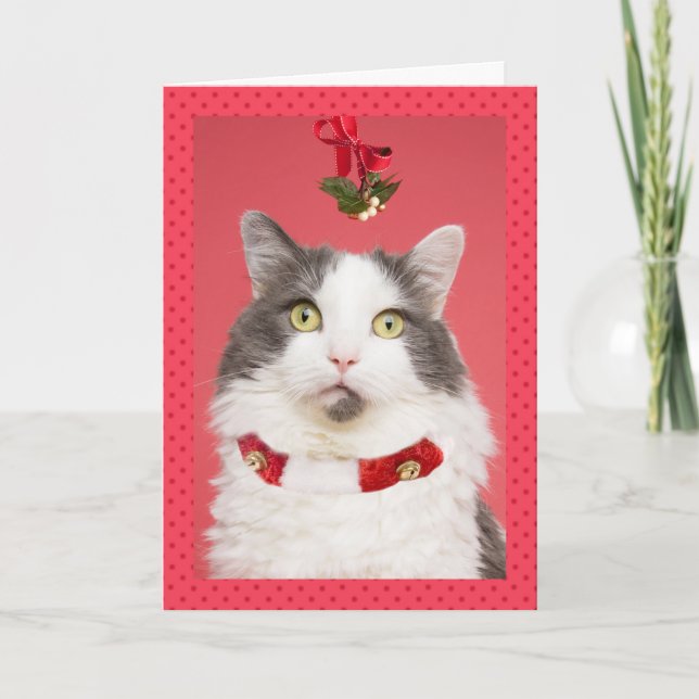 Tarjeta Festiva Feliz Navidad, Gato Con Mistleto (Anverso)