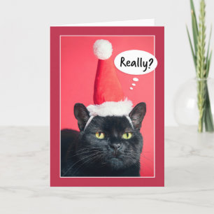 Tarjeta Festiva Feliz Navidad, gato enfurecido en el humor de Sant