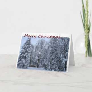 Tarjeta Festiva Feliz Navidad, Nieve En Árboles