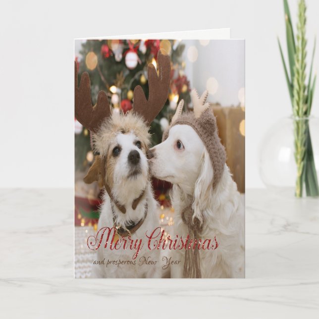Tarjeta Festiva Feliz Navidad, perros enamorados (Anverso)