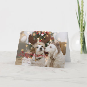 Tarjeta Festiva Feliz Navidad, perros enamorados