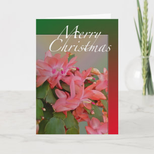 Tarjeta Festiva Feliz Navidades navideños Cactus Flowers