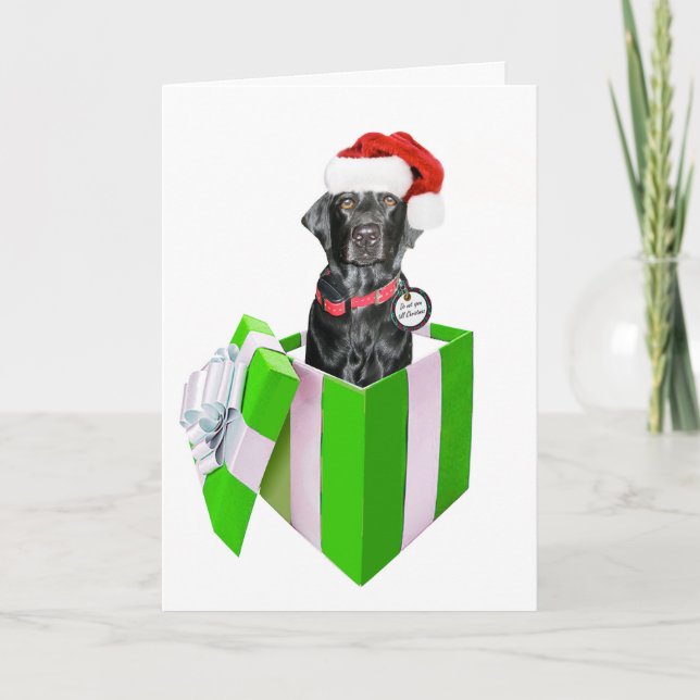 Tarjeta Festiva Feliz Navidog (Anverso)