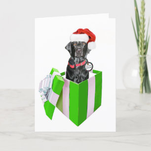 Tarjeta Festiva Feliz Navidog