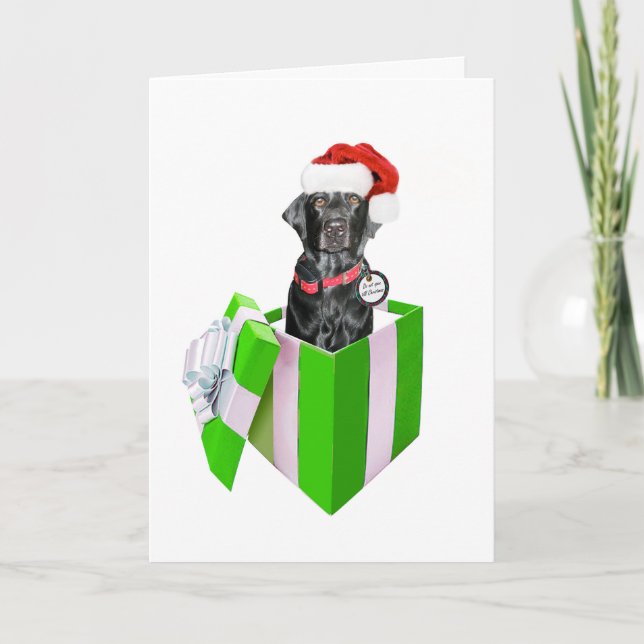 Tarjeta Festiva Feliz Navidog (Anverso)