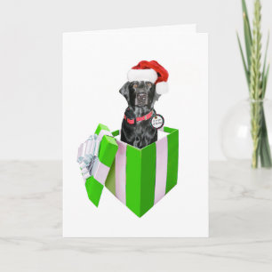 Tarjeta Festiva Feliz Navidog