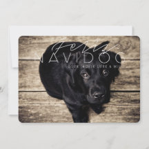 Feliz Navidog | Holiday Photo