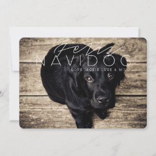 Tarjeta Festiva Feliz Navidog   Holiday Photo