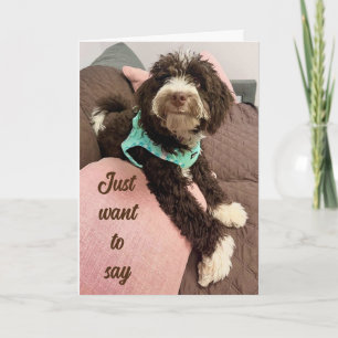 TARJETA FESTIVA **FELIZ ORIENTAL** DE ADORABLE BERNEDOODLE