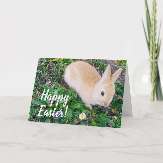 Tarjeta Festiva Feliz Pascua (Anverso)