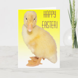 Tarjeta Festiva Feliz Pascua adorable patito amarillo Fotografía