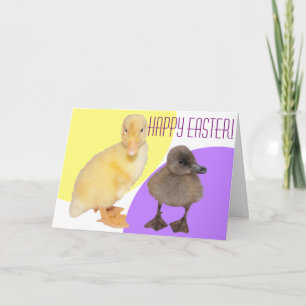 Tarjeta Festiva Feliz Pascua Adorables Patitos Borrosos Fotografía