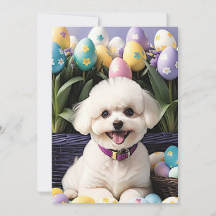 Tarjeta Festiva Feliz Pascua Bichon Frise