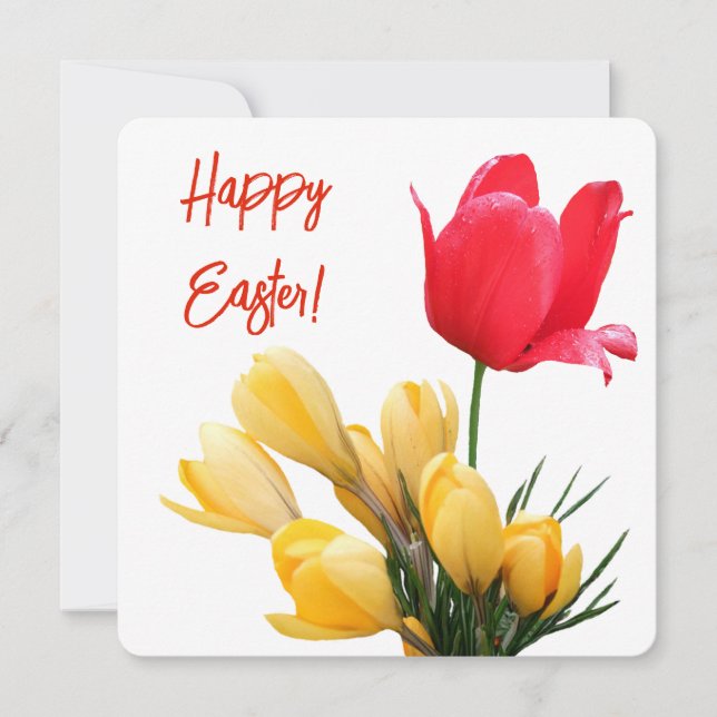 Tarjeta Festiva Feliz Pascua bonito Crocus amarillo tulipán rojo (Anverso)