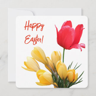 Tarjeta Festiva Feliz Pascua bonito Crocus amarillo tulipán rojo