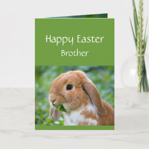 Tarjeta Festiva Feliz Pascua Conejito Especial Hermano