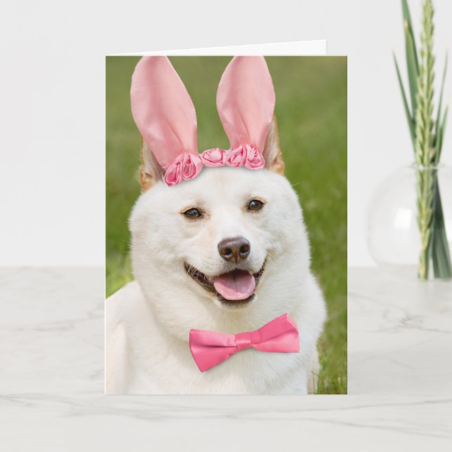 Tarjeta Festiva Feliz Pascua Cualquiera Shiba Inu Perro En Orejas  (Anverso)