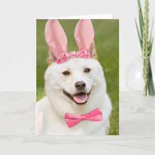 Tarjeta Festiva Feliz Pascua Cualquiera Shiba Inu Perro En Orejas
