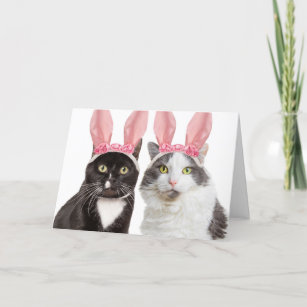 Tarjeta Festiva Feliz Pascua, dos gatos comestibles con humor de c