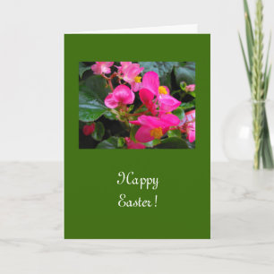 Tarjeta Festiva Feliz Pascua flores de begonia rosadas