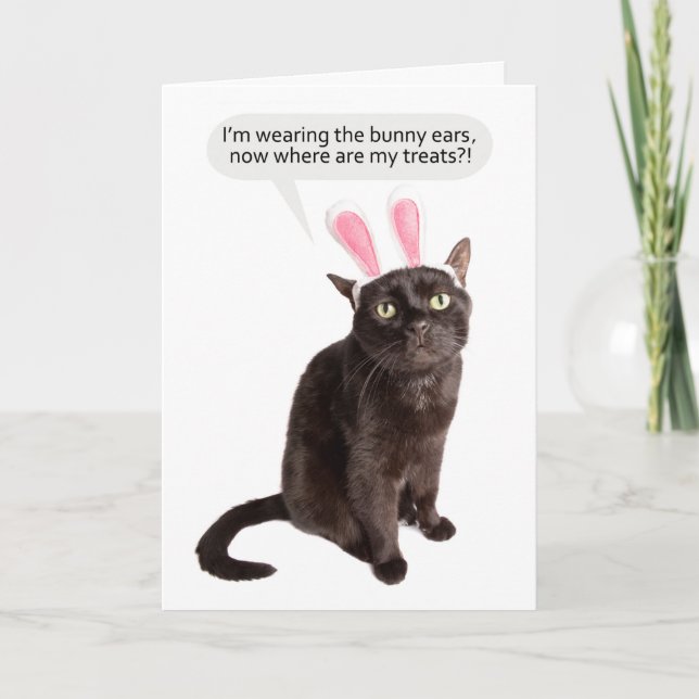 Tarjeta Festiva Feliz Pascua Para Cualquier Gato Divertido De Bunn (Anverso)