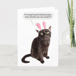 Tarjeta Festiva Feliz Pascua Para Cualquier Gato Divertido De Bunn