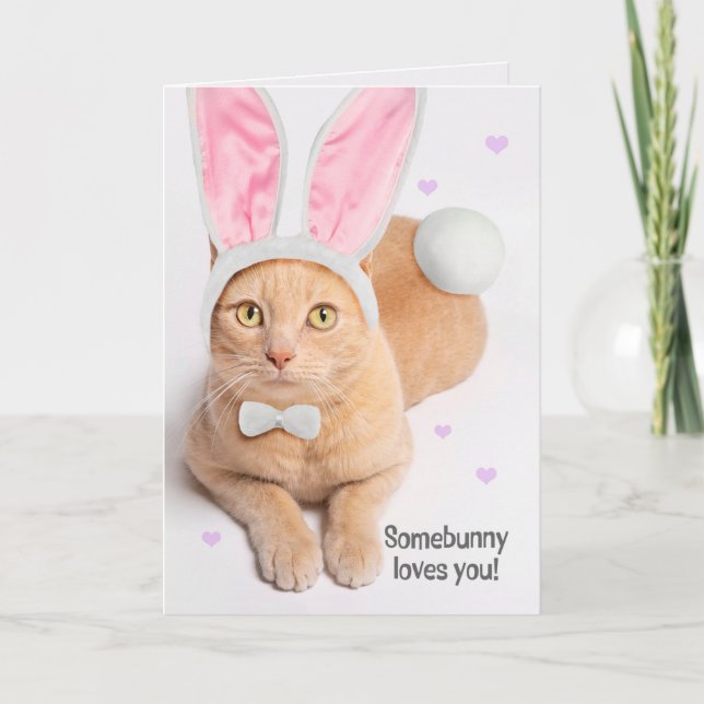 Tarjeta Festiva Feliz Pascua para cualquier gato pelirrojo lindo c (Anverso)
