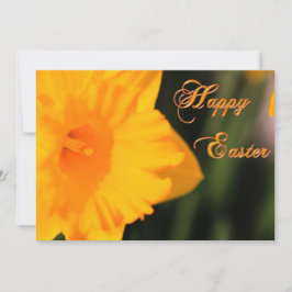 Tarjeta Festiva Feliz Pascua Primavera Amarilla Flor de Daffodil