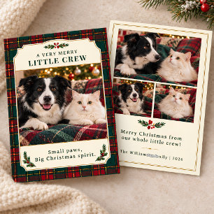Tarjeta Festiva Feliz Pequeña Tripulación Perro Gato Foto Tartán N