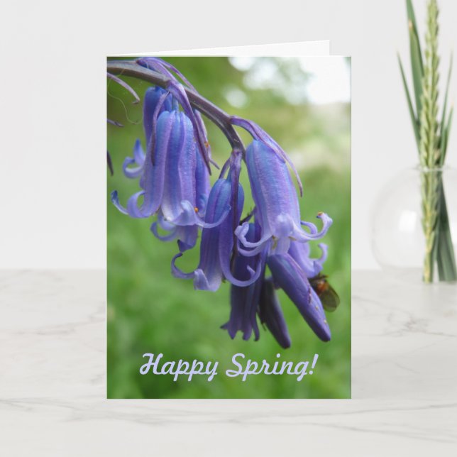 Tarjeta Festiva ¡Feliz primavera! "Bluebells en Inglaterra" (Anverso)