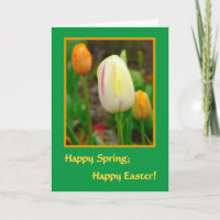 Feliz Primavera; Feliz Pascua! TULIPANES DE PRIMAV