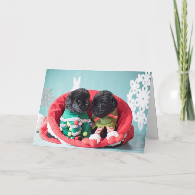 Tarjeta Festiva Feliz y agradecido perritos del duende (Anverso)