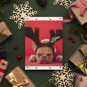 Tarjeta Festiva Feriados Bulldog francés Navidades de perros adora
