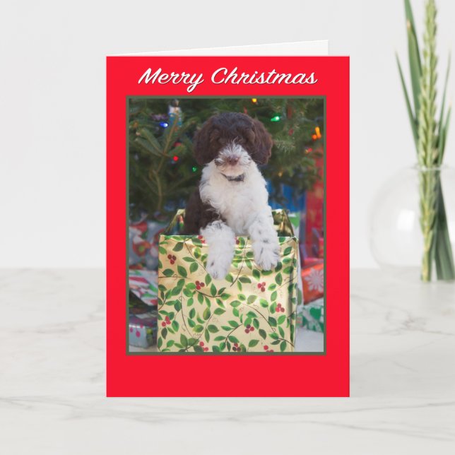Tarjeta Festiva Ferry Christmas Labradoodle Puppy Card (Anverso)