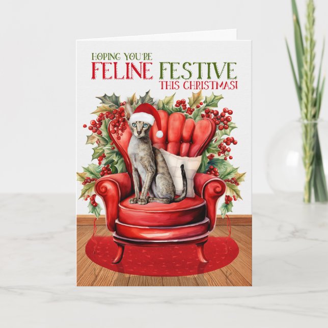 Tarjeta Festiva Festividad de Cat FELINE, Navidades de Shorthair o (Anverso)