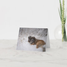 Festividad de la juntos