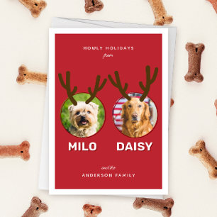 Tarjeta Festiva Festividad de Navidades de Mascotas de fotografía 