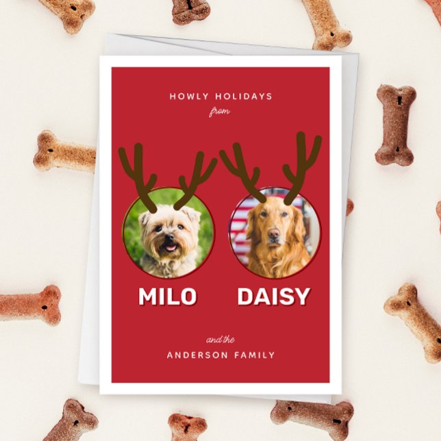 Tarjeta Festiva Festividad de Navidades de Mascotas de fotografía  (Folded two photo pet Christmas holiday card with message "Howly Holidays" with two sets of antlers)