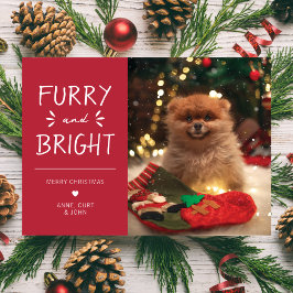 Tarjeta Festiva Festividad de Navidades fotográficos Mascotas de p