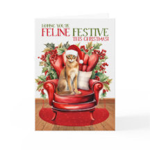 Festividad del gato FELINE, Navidades abisinos