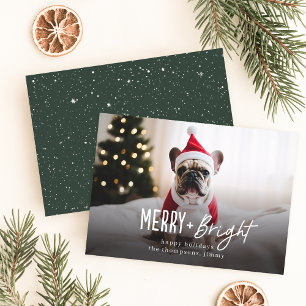 Tarjeta Festiva Festividad: Navidades de fotografía de perro moder
