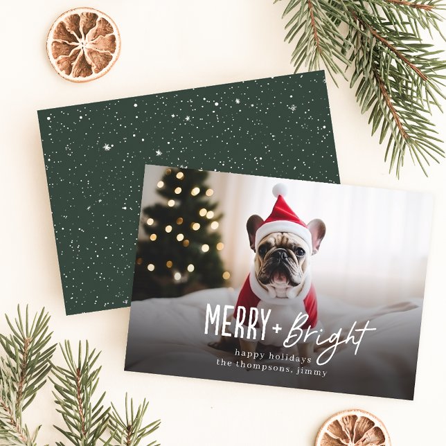 Tarjeta Festiva Festividad: Navidades de fotografía de perro moder (Subido por el creador)