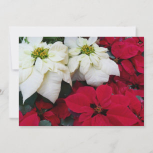 Tarjeta Festiva Festividades de los Navidades de la posología blan