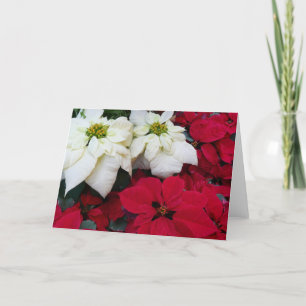 Tarjeta Festiva Festividades de los Navidades de la posología blan