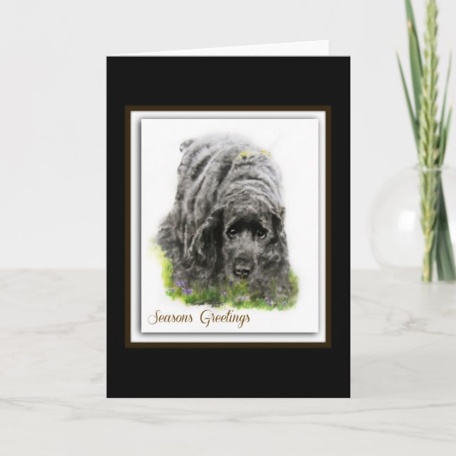 Tarjeta Festiva Field Spaniel (Anverso)