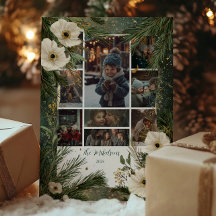 Fiesta de Navidades anemónicos blancos de invierno