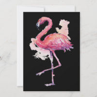 Flamencos | Guay 60 Flamingo Animal Lover Flamingo