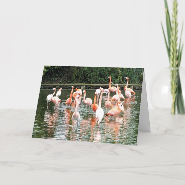 Tarjeta Festiva Flamencos y reflexiones (Anverso)