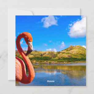 Tarjeta Festiva Flamingo caribeño en St Kitts